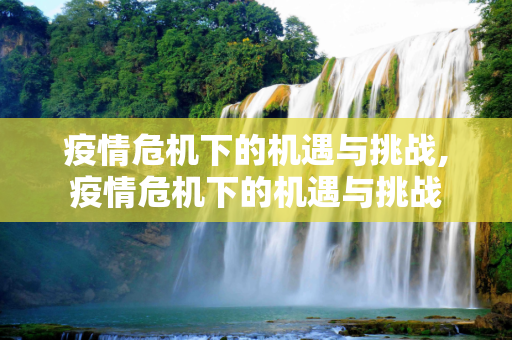 疫情危机下的机遇与挑战,疫情危机下的机遇与挑战