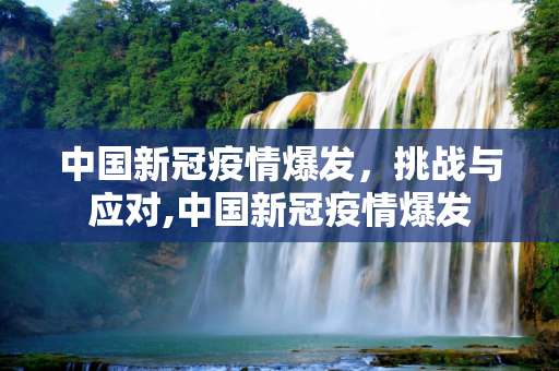 中国新冠疫情爆发，挑战与应对,中国新冠疫情爆发