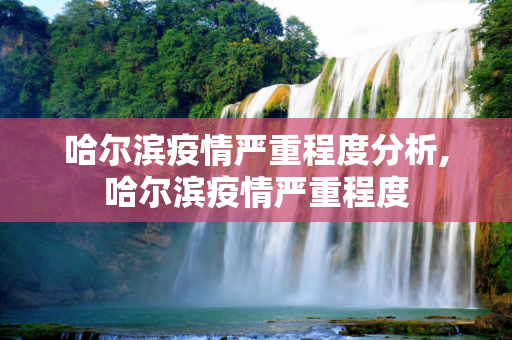 哈尔滨疫情严重程度分析,哈尔滨疫情严重程度