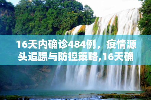 16天内确诊484例，疫情源头追踪与防控策略,16天确诊484例疫情源头在哪?