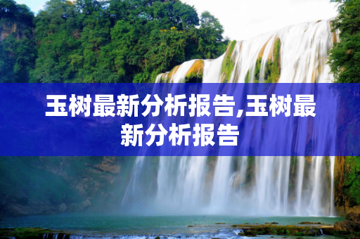 玉树最新分析报告,玉树最新分析报告