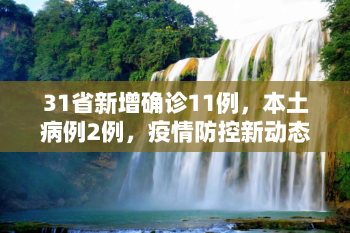 31省新增确诊11例，本土病例2例，疫情防控新动态,31省新增确诊11例其中本土2例