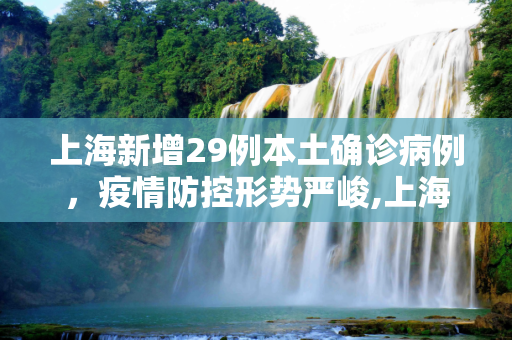 上海新增29例本土确诊病例，疫情防控形势严峻,上海新增29例本土确诊病例