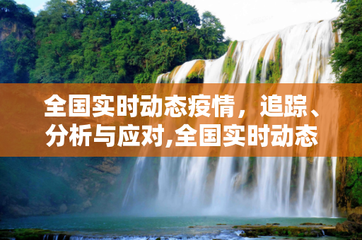 全国实时动态疫情，追踪、分析与应对,全国实时动态疫情