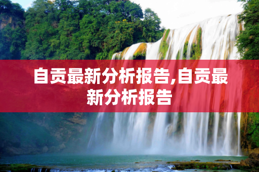 自贡最新分析报告,自贡最新分析报告