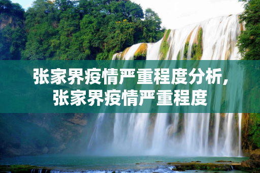 张家界疫情严重程度分析,张家界疫情严重程度