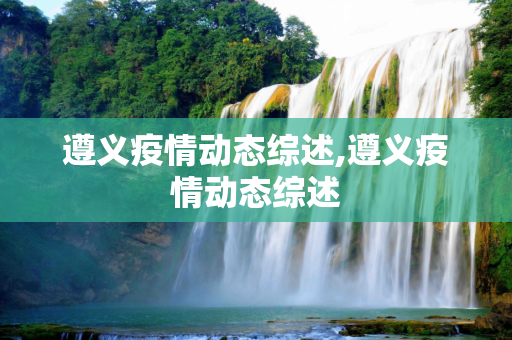 遵义疫情动态综述,遵义疫情动态综述
