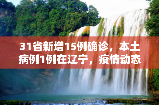 31省新增15例确诊，本土病例1例在辽宁，疫情动态更新与防控措施,31省新增15例确诊 本土1例在辽宁