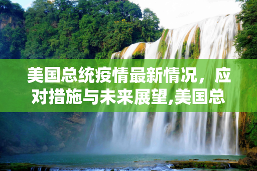 美国总统疫情最新情况，应对措施与未来展望,美国总统疫情最新情况
