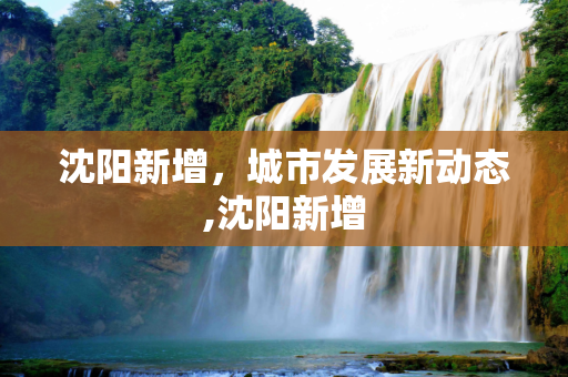 沈阳新增，城市发展新动态,沈阳新增