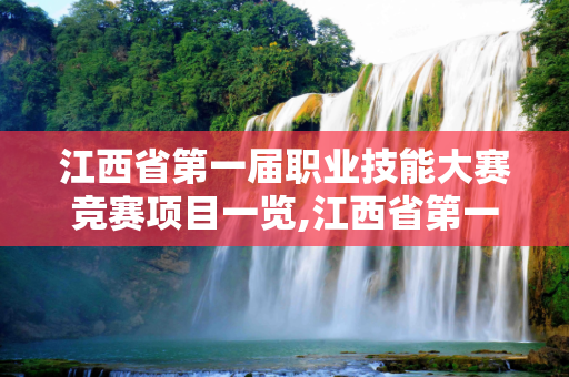 江西省第一届职业技能大赛竞赛项目一览,江西省第一届职业技能大赛竞赛项目一览