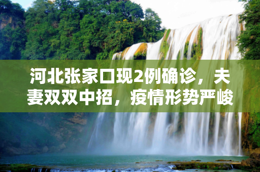 河北张家口现2例确诊，夫妻双双中招，疫情形势严峻,河北张家口2例确诊系夫妻