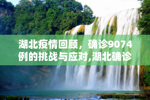 湖北疫情回顾，确诊9074例的挑战与应对,湖北确诊9074例