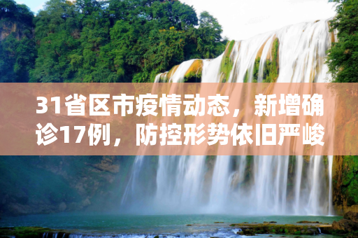 31省区市疫情动态，新增确诊17例，防控形势依旧严峻,关于31省区市新增确诊17例的信息