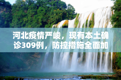 河北疫情严峻，现有本土确诊309例，防控措施全面加强,河北现有本土确诊309例
