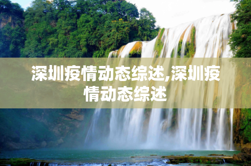 深圳疫情动态综述,深圳疫情动态综述