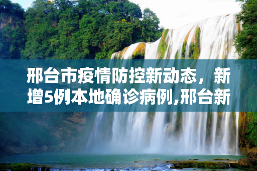 邢台市疫情防控新动态，新增5例本地确诊病例,邢台新增5例本地确诊病例