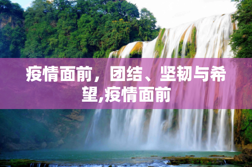 快讯 第31页