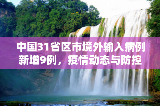 中国31省区市境外输入病例新增9例，疫情动态与防控措施,31省区市新增境外输入9例