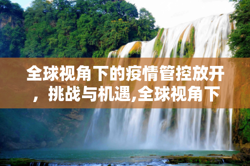 全球视角下的疫情管控放开，挑战与机遇,全球视角下的疫情管控放开