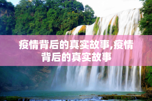 疫情背后的真实故事,疫情背后的真实故事