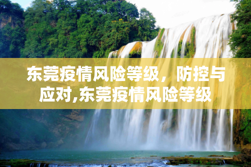东莞疫情风险等级，防控与应对,东莞疫情风险等级