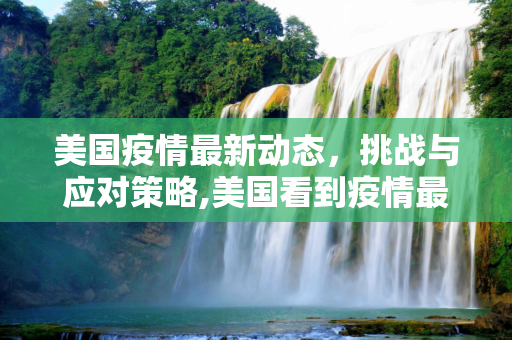 美国疫情最新动态，挑战与应对策略,美国看到疫情最新消息