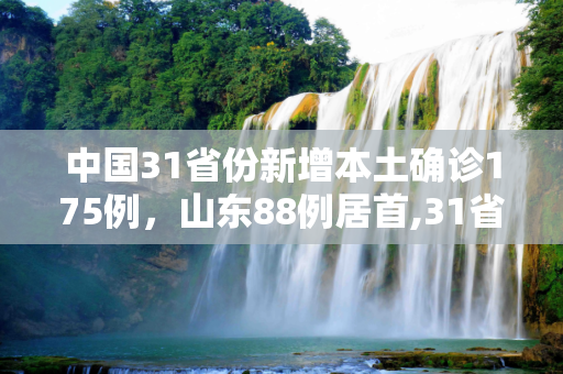 中国31省份新增本土确诊175例，山东88例居首,31省份新增本土确诊175例山东88例