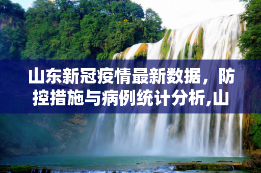 山东新冠疫情最新数据，防控措施与病例统计分析,山东新冠疫情最新数据