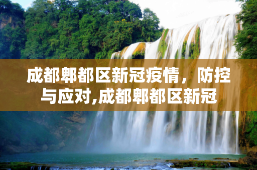 成都郫都区新冠疫情，防控与应对,成都郫都区新冠