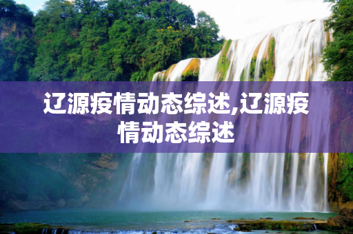 辽源疫情动态综述,辽源疫情动态综述