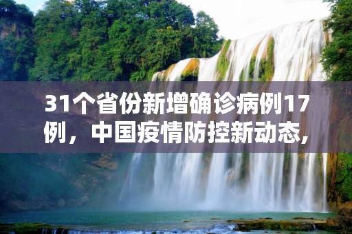 31个省份新增确诊病例17例，中国疫情防控新动态,31个省份新增确诊病例17例