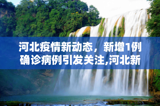 河北疫情新动态，新增1例确诊病例引发关注,河北新增1例确诊