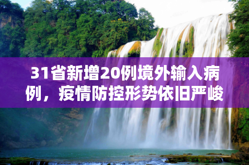 31省新增20例境外输入病例，疫情防控形势依旧严峻,31省增20例境外输入
