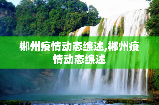 郴州疫情动态综述,郴州疫情动态综述