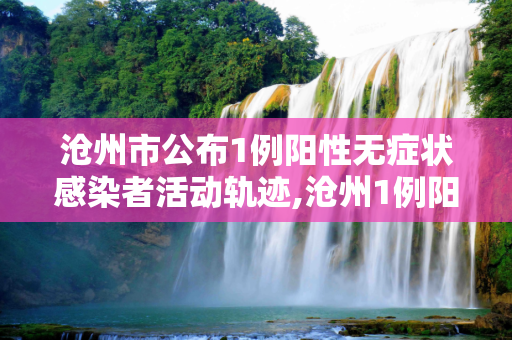 沧州市公布1例阳性无症状感染者活动轨迹,沧州1例阳性无症状轨迹公布