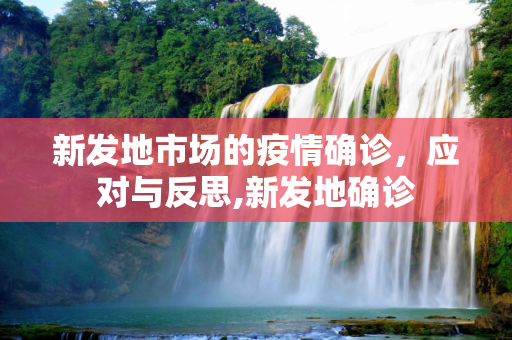 新发地市场的疫情确诊，应对与反思,新发地确诊