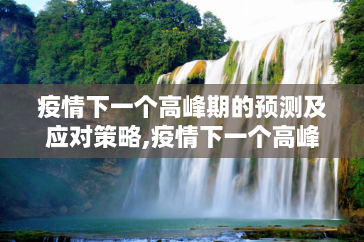 疫情下一个高峰期的预测及应对策略,疫情下一个高峰期预测及应对策略