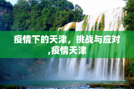 疫情下的天津，挑战与应对,疫情天津