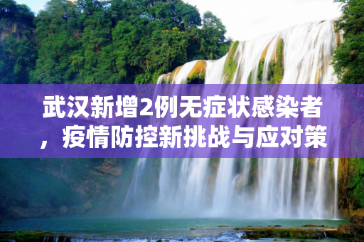 武汉新增2例无症状感染者，疫情防控新挑战与应对策略,武汉新增2例无症状感染者