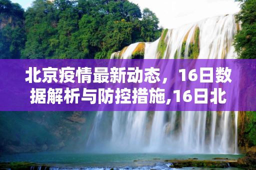北京疫情最新动态，16日数据解析与防控措施,16日北京疫情最新数据
