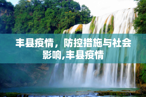 丰县疫情，防控措施与社会影响,丰县疫情