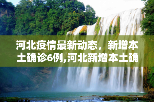 河北疫情最新动态，新增本土确诊6例,河北新增本土确诊6例