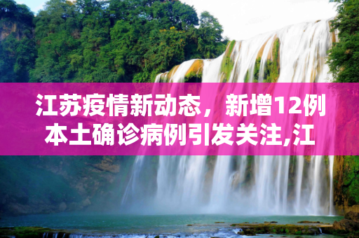 江苏疫情新动态，新增12例本土确诊病例引发关注,江苏新增12例本土确诊