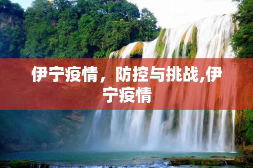 伊宁疫情，防控与挑战,伊宁疫情