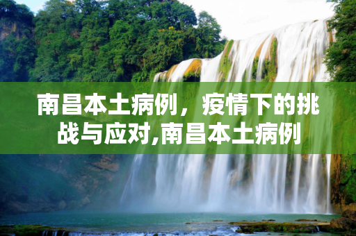 南昌本土病例，疫情下的挑战与应对,南昌本土病例