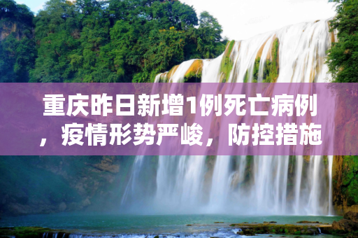 重庆昨日新增1例死亡病例，疫情形势严峻，防控措施需加强,重庆昨日新增1例死亡病例