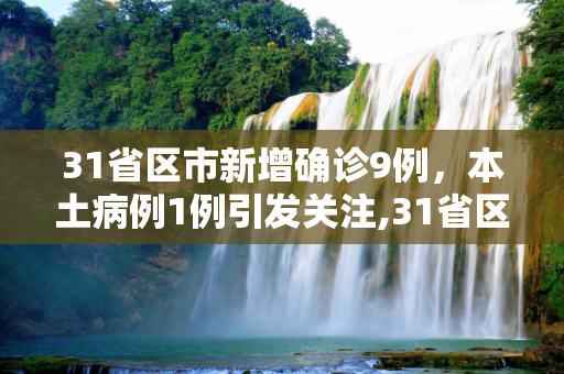 31省区市新增确诊9例，本土病例1例引发关注,31省区市新增确诊9例含本土1例