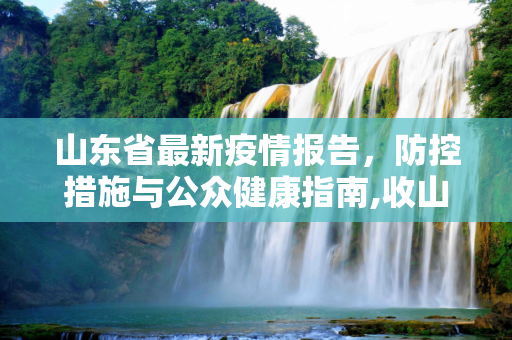 山东省最新疫情报告，防控措施与公众健康指南,收山东最新疫情
