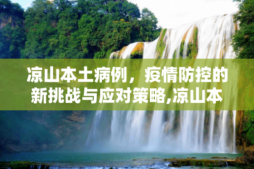 凉山本土病例，疫情防控的新挑战与应对策略,凉山本土病例
